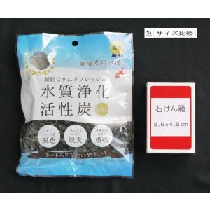 水質浄化活性炭 100g (100円ショップ ...の詳細画像1