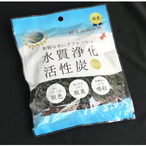 水質浄化活性炭 100g (100円ショップ ...の詳細画像2