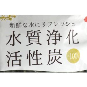 水質浄化活性炭 100g (100円ショップ ...の詳細画像3