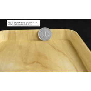 すべりにくいPPトレー 小長(22.5×11....の詳細画像3