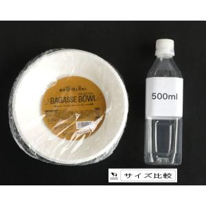バガスボウル 浅型 直径19cm 8枚入 (1...の詳細画像1