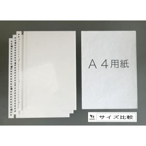 ファイルアルバム台紙 30穴 3枚入 (100...の詳細画像1