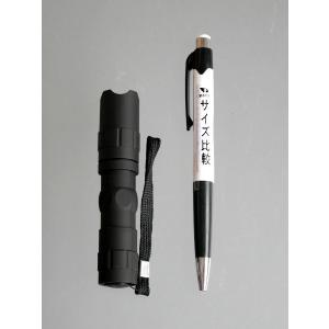 LEDライト BLT (100円ショップ 10...の詳細画像1