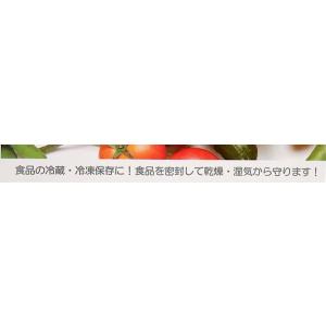 ジッパーバッグ L 27×28cm 6枚入 (...の詳細画像5