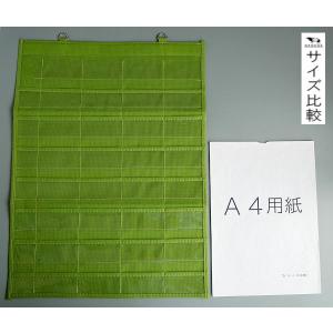 EGくすりポケット一週間4×7 38×51cmの詳細画像1