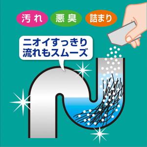 髪の毛分解洗浄剤 20g 2包入 髪の毛スルー...の詳細画像2