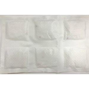 防虫除湿シート 引き出し用 2枚入 (100円...の詳細画像3