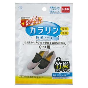カラリン除湿シート くつ用 (100円ショップ ...の商品画像