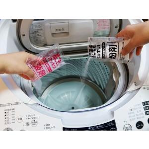 Wパワースッキリ洗濯槽クリーナー 液剤+粉剤 1回分の詳細画像4