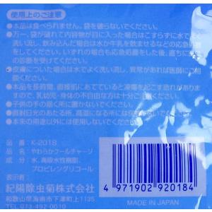 保冷剤 やわらかクールチャージ 400gの詳細画像3