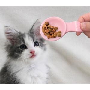 手のひらスプーン (100円ショップ 100円...の詳細画像2