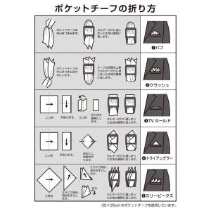 ポケットチーフホルダー 半透明 (100円ショ...の詳細画像5