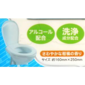 トイレクリーナー さわやかな柑橘の香り 40枚...の詳細画像5