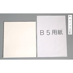 天ぷら敷紙 45枚入 (100円ショップ 10...の詳細画像1