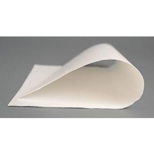 天ぷら敷紙 45枚入 (100円ショップ 10...の詳細画像5