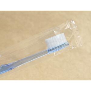 歯ブラシ 先細ヘッド クリア ふつう 3本入 ...の詳細画像4