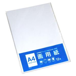 画用紙 A4サイズ 12枚入 (100円ショップ...の商品画像
