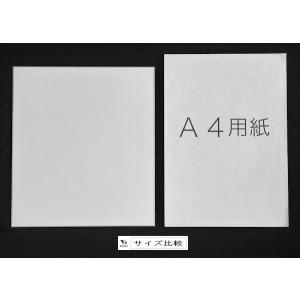 色紙 カラー縁巻き 27.2×24.2mm [...の詳細画像3