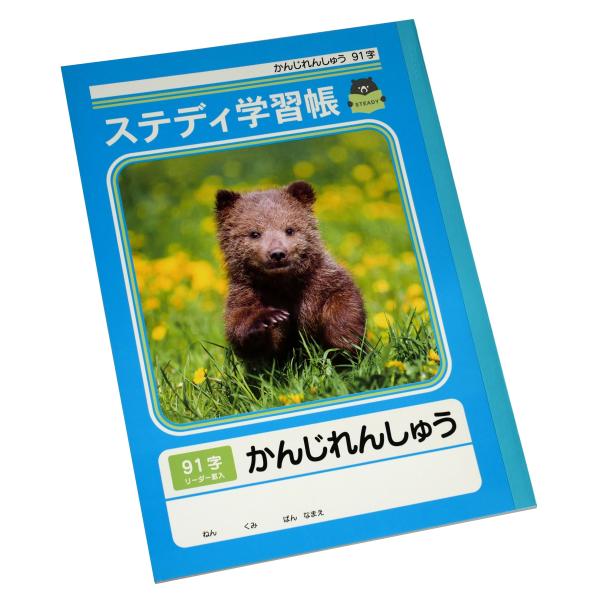 ステディ学習帳 かんじれんしゅう 91字 17mmマス 13×7 セミB5 40枚 (100円ショッ...
