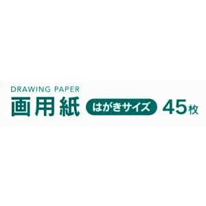 画用紙 はがきサイズ 14.8×10cm 45...の詳細画像5