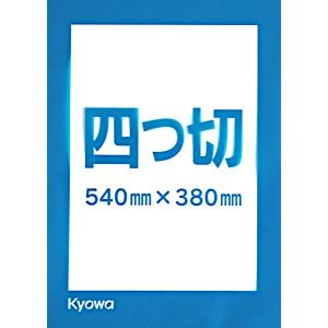 四つ切 画用紙 54×38cm 4枚入 (10...の詳細画像3
