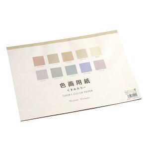 色画用紙 くすみカラー 10色 25.3×35.2cm 10枚入(100円ショップ