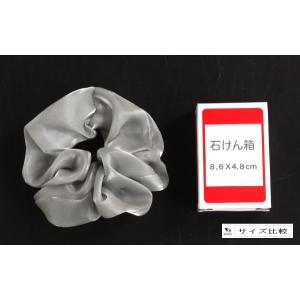 ビッグシアーシュシュ [色指定不可] (100...の詳細画像2