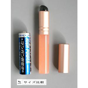 キャップ付シリコーンブラシ (100円ショップ...の詳細画像1