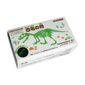 蓄光恐竜の骨 1 ［形指定不可］ (100円ショップ 100円均一 100均一 100均)