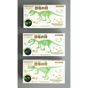 蓄光恐竜の骨 1 [形指定不可] (100円シ...の詳細画像1
