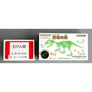 蓄光恐竜の骨 1 [形指定不可] (100円シ...の詳細画像2