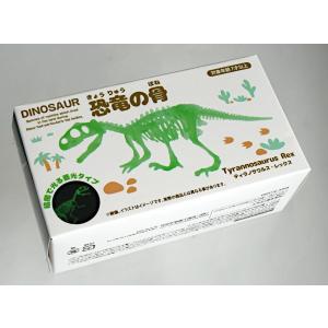 蓄光恐竜の骨 1 [形指定不可] (100円シ...の詳細画像3