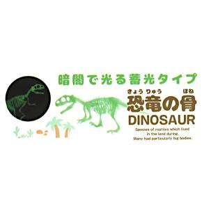 蓄光恐竜の骨 1 [形指定不可] (100円シ...の詳細画像4