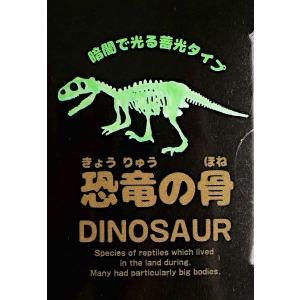 蓄光恐竜の骨 1 [形指定不可] (100円シ...の詳細画像5