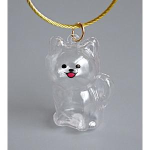 わんこのタイムカプセル [種類指定不可] (1...の詳細画像4