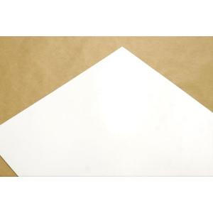 マグネット用紙 光沢タイプ A4サイズ インク...の詳細画像4