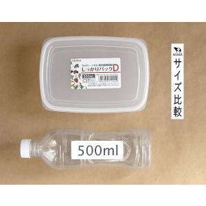 保存容器 しっかりパックD 容量830ml (...の詳細画像1