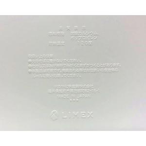 ECOコンテナA ホワイト 16×16×高さ3...の詳細画像4