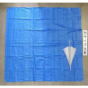 マルチブルーシート コーナーハトメ付 180×...の詳細画像1