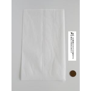 水切りフィルター 三角コーナー用 不織布タイプ...の詳細画像3