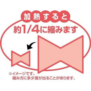プラバン 透明タイプ 工作用 B4サイズ(25...の詳細画像3