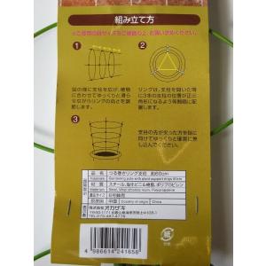 つる巻きリング支柱 6号鉢用 支柱の長さ60cmの詳細画像2