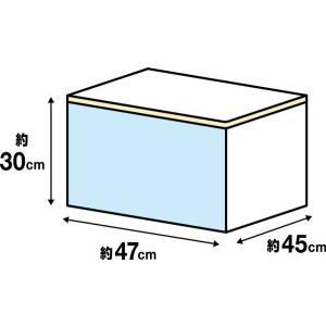 整理袋 透明窓付 アイボリー 大型(高さ30×...の詳細画像5
