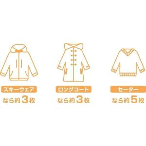 圧縮袋 押入収納ケース用 スライダー付 80×...の詳細画像5