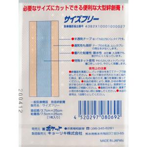 絆創膏 大判 1枚入 (100円ショップ 10...の詳細画像3