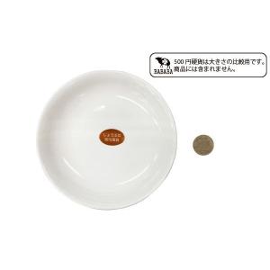 深丸皿 強化磁器 フチ付 直径15.3cm (...の詳細画像4