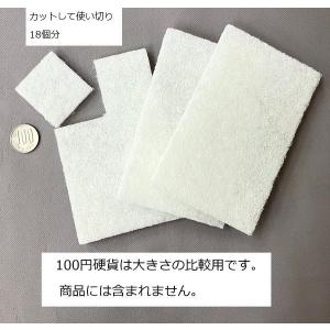 洗剤付き泡立つ不織布クリーナー 3枚入 (10...の詳細画像1