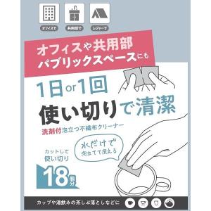 洗剤付き泡立つ不織布クリーナー 3枚入 (10...の詳細画像2