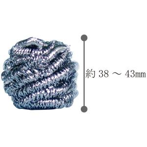 ガンコな汚れにステンレスタワシ 8g 10個入...の詳細画像3