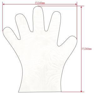 使い捨てポリエチレン手袋 極うす 増量タイプ ...の詳細画像2